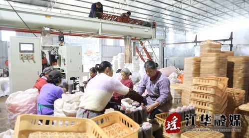 江華 人勤春來早 菌包生產忙