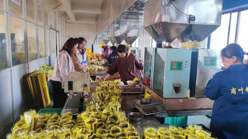 安徽休寧 抓訂單 忙生產(chǎn) 奮戰(zhàn)龍年 開(kāi)門(mén)紅