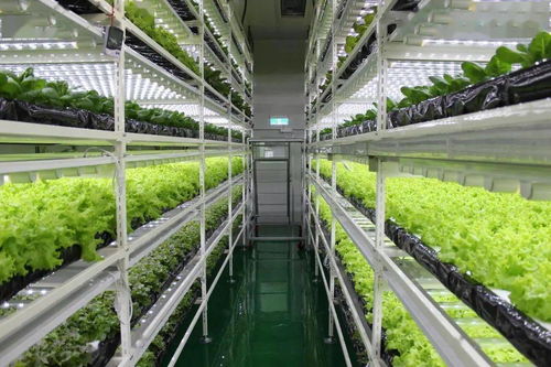 中國(guó)人的農(nóng)業(yè)情懷 未來農(nóng)業(yè)是什么樣的