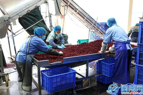 詔安縣縣長帶隊調研企業復工復產情況