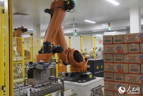 安琪酵母俄羅斯公司工廠竣工投產(chǎn)儀式在利佩茨克舉行